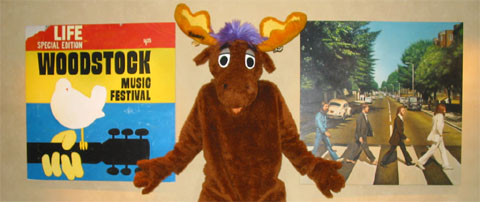 Stoney The Chocolate Moose